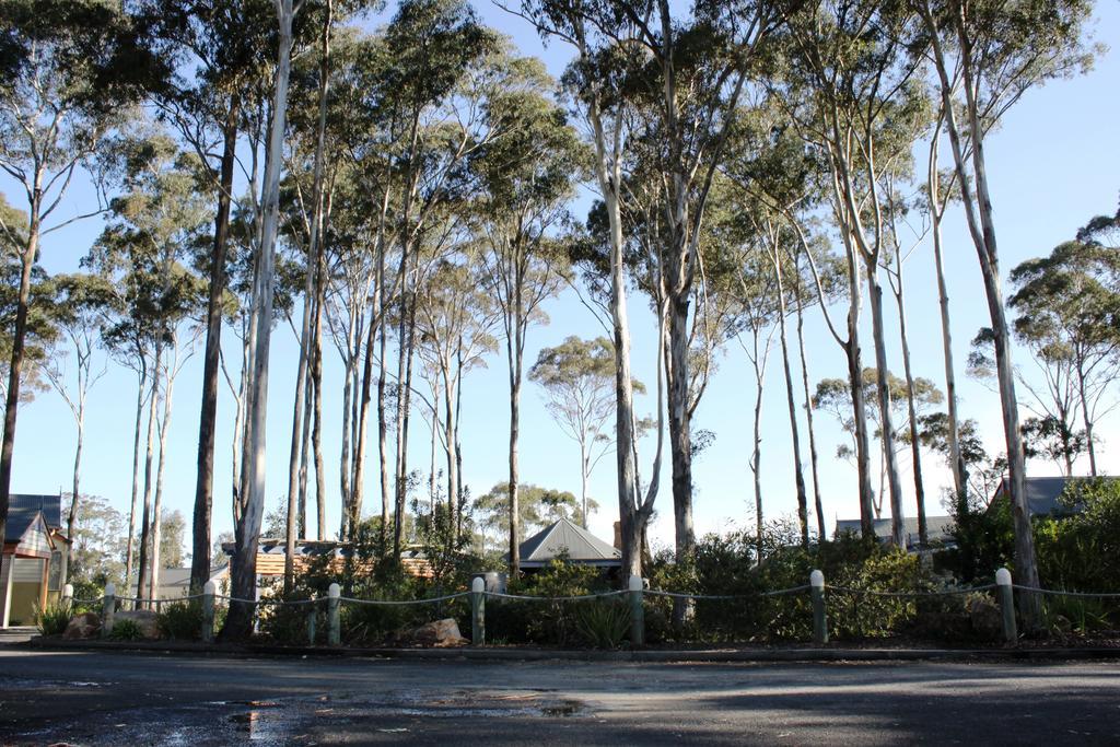Waverley House Cottages Lakes Entrance Bagian luar foto